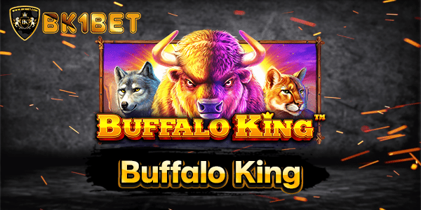 Buffalo King